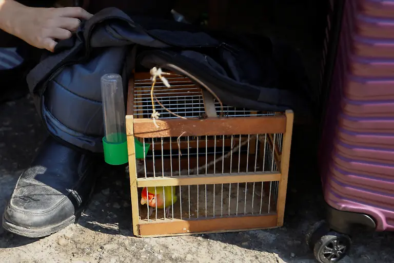 2023-10-16T084244Z-735855148-RC2KT3ASV5B2-RTRMADP-3-ISRAEL-PALESTINIANS