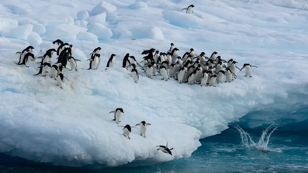 e000e9d909887b035629b50060ee6823