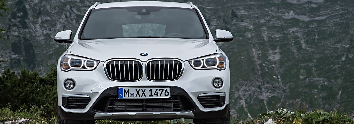 BMW_x1_16715_2.jpg