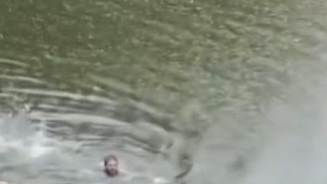 KrokodilSchwimmer.JPG