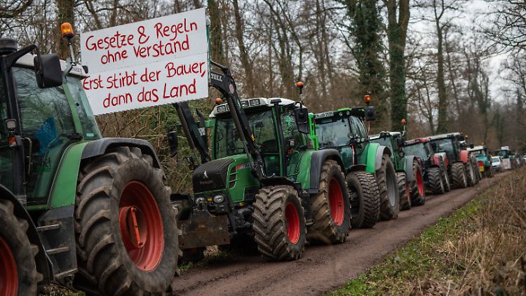 Bundesweit gab es zu Jahresbeginn Proteste der Landwirte. 