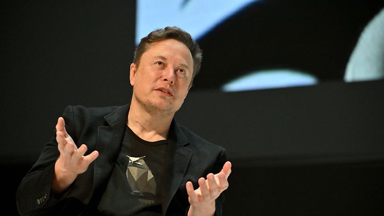 Musk: "Ein hoch auf große Familien."