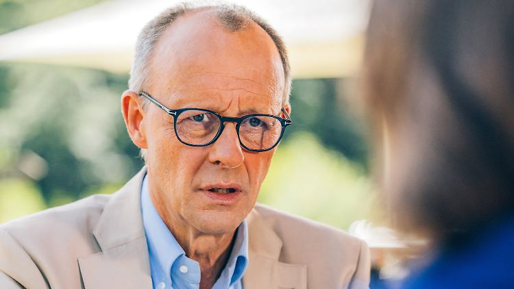 Friedrich Merz im Sommerinterview des ZDF.