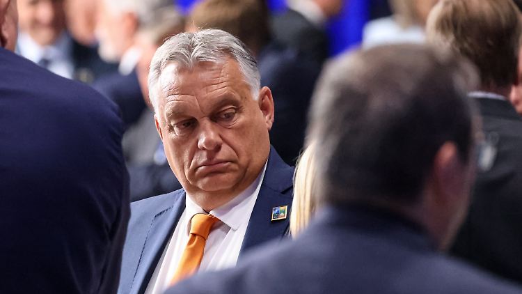 "Wir haben es nie versucht": Ungarns Premier Orban bei einem NATO-Ukraine-Treffen. 