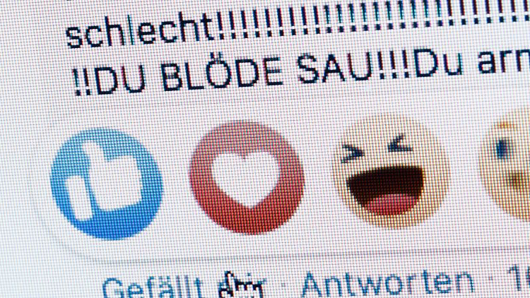 Wenn sich Wissenschaftlerinnen und Wissenschaftler in sozialen Medien äußern, hagelt es oft Beleidigungen.