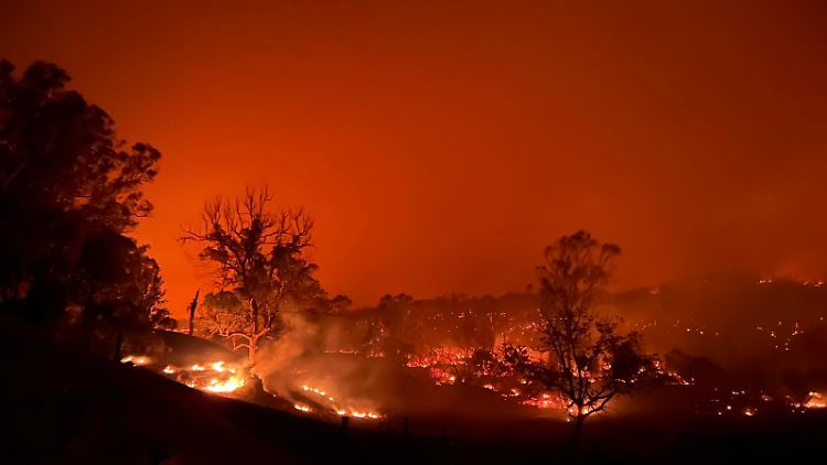 Buschfeuer im Osten Australiens im Oktober 2023: Einer Analyse zufolge gab es 2023 besonders intensive Waldbrände. Es war das bisher wärmste Jahr seit Beginn der Wetteraufzeichnungen. 