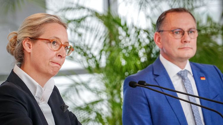 Die Führung der Rechtsaußen-Partei rund um Weidel und Chrupalla will eine neue Partei gründen auf europäischer Ebene. 