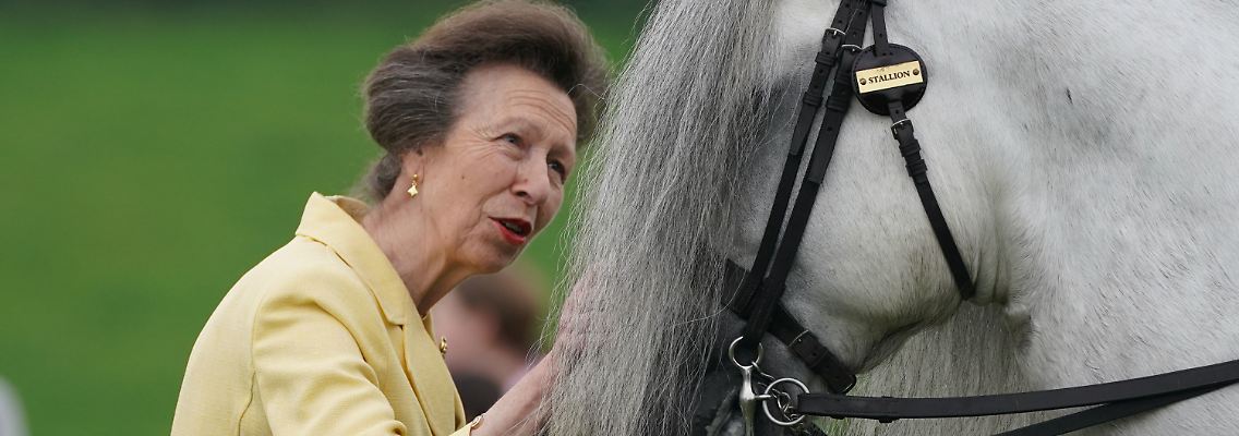 255243542.jpg