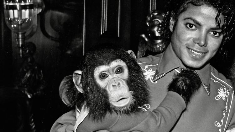 Michael Jackson 1986 mit Bubbles auf der Neverland-Ranch.