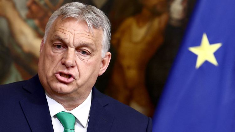 Viktor Orban zeigt sich kritisch, will den Beitrittsprozess aber nicht blockieren.