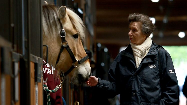 Prinzessin Anne ist eine große Pferdenärrin.