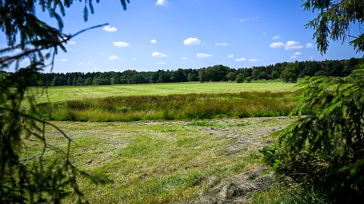 Ein Landwirt bemerkte bei Mäharbeiten auf einer Wiese bei Behrste eine Auffälligkeit - und informierte daraufhin die Polizei.
