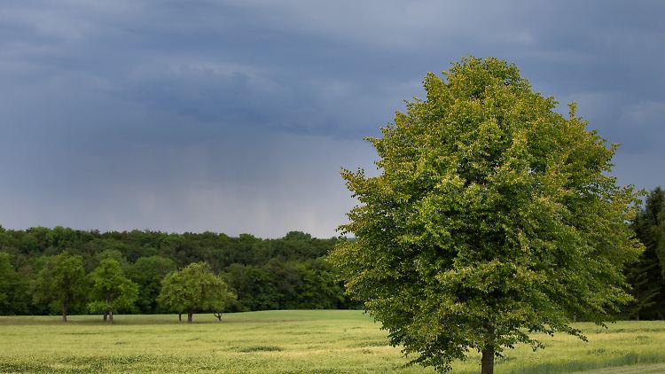 In der schwülen Luft steigt in den kommenden Tagen die Unwettergefahr.