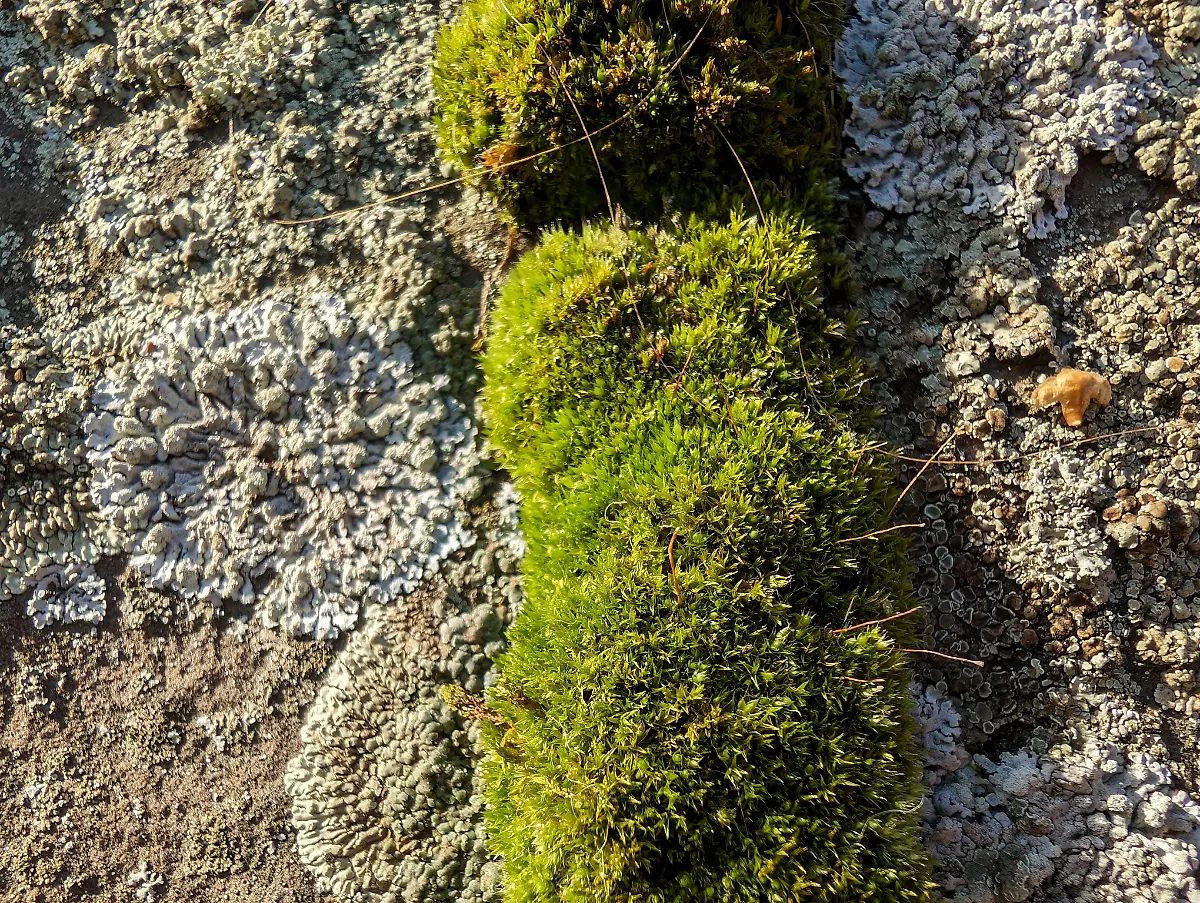 PXL-20231008-142900376