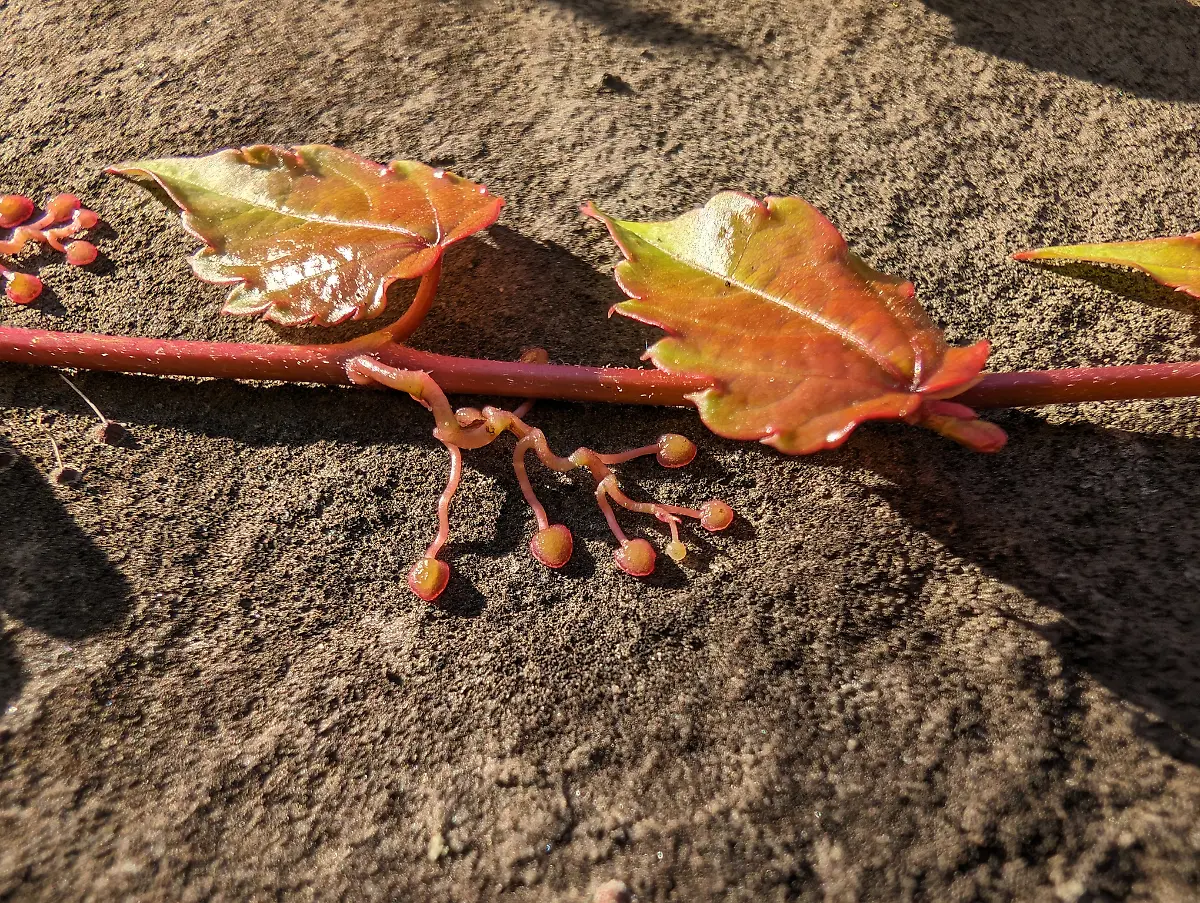 PXL-20231008-142953657