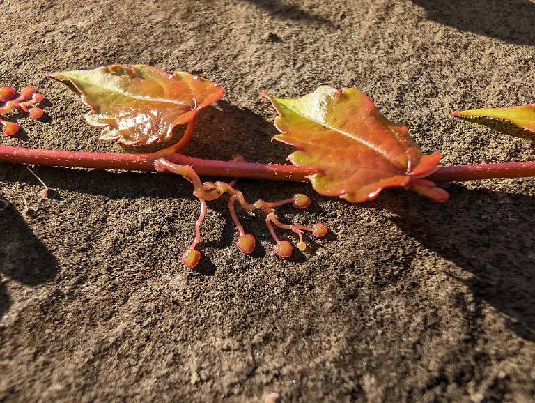 PXL-20231008-142953657