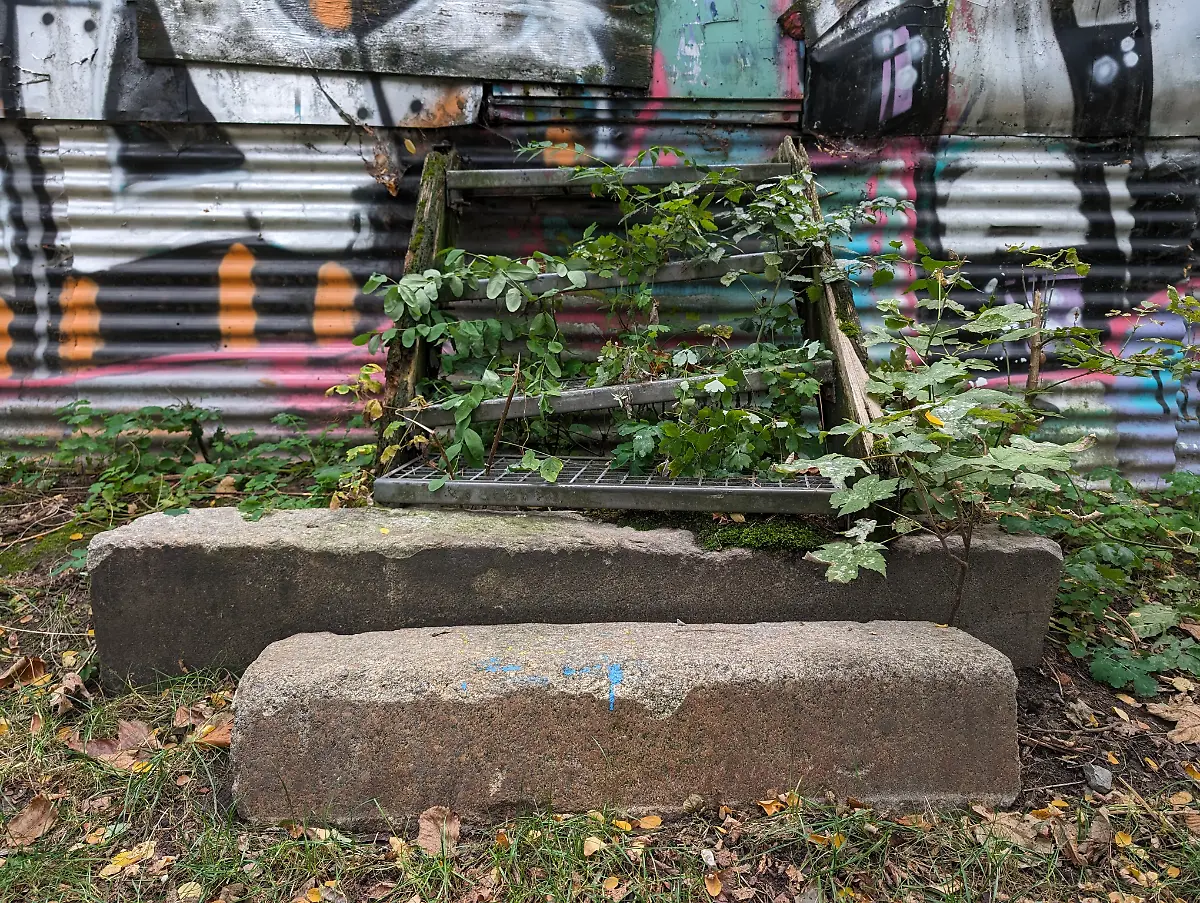 PXL-20231008-134005593