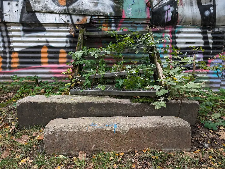 PXL-20231008-134005593