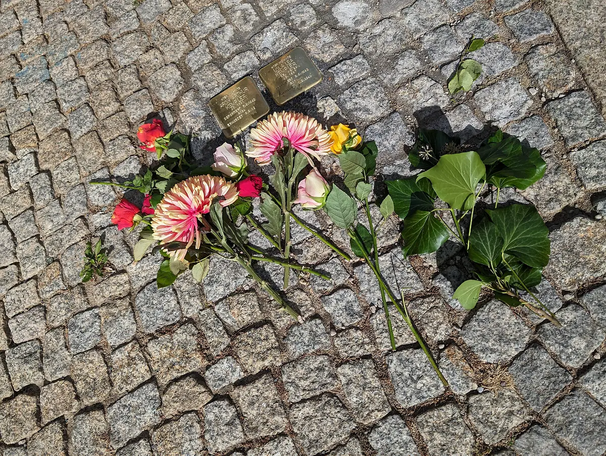 PXL-20231008-121438230