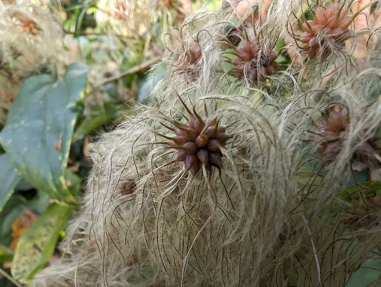 PXL-20231008-133033579