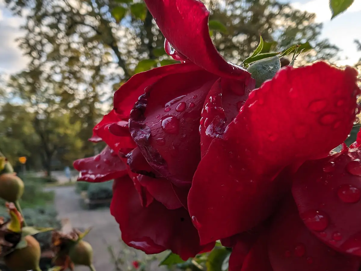 PXL-20231005-153651469