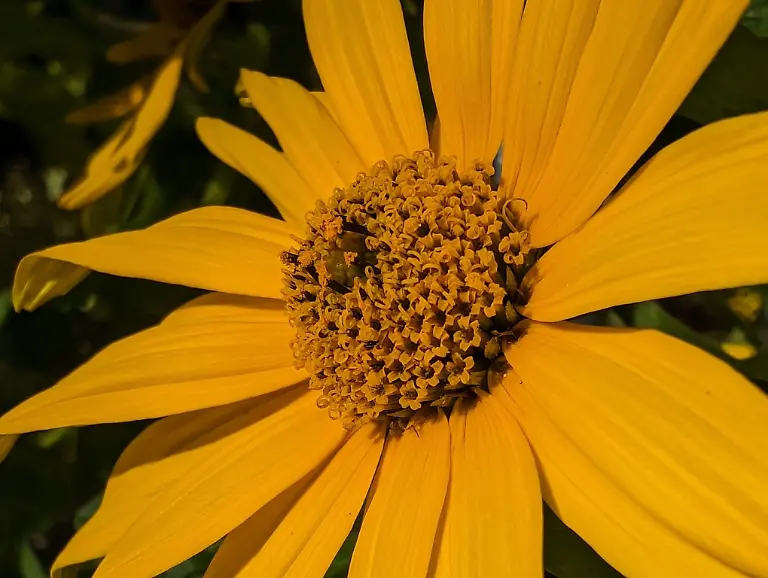 PXL-20231008-140419436