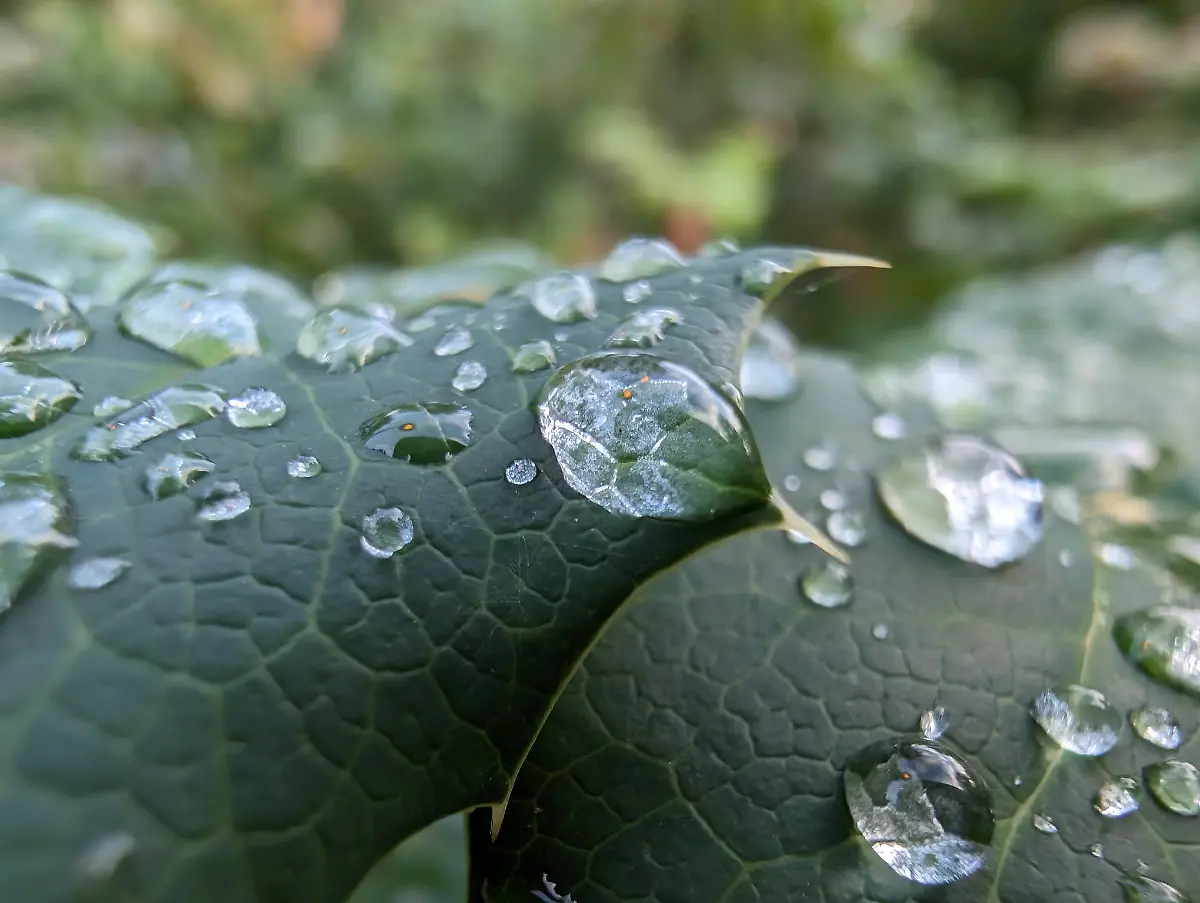 PXL-20231005-153029746