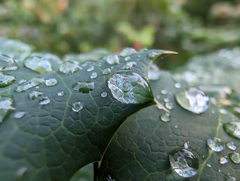 PXL-20231005-153029746