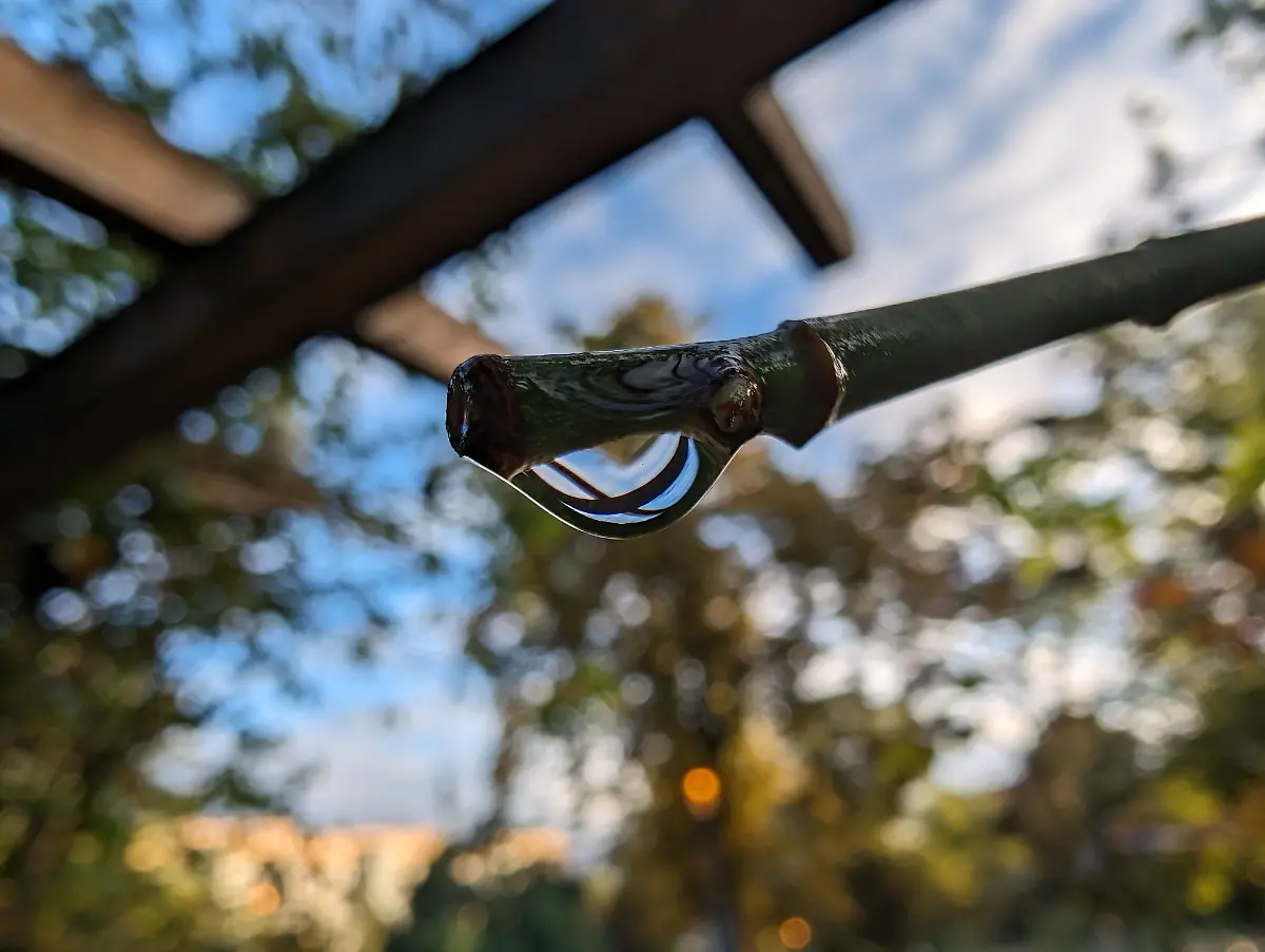 PXL-20231005-153558802