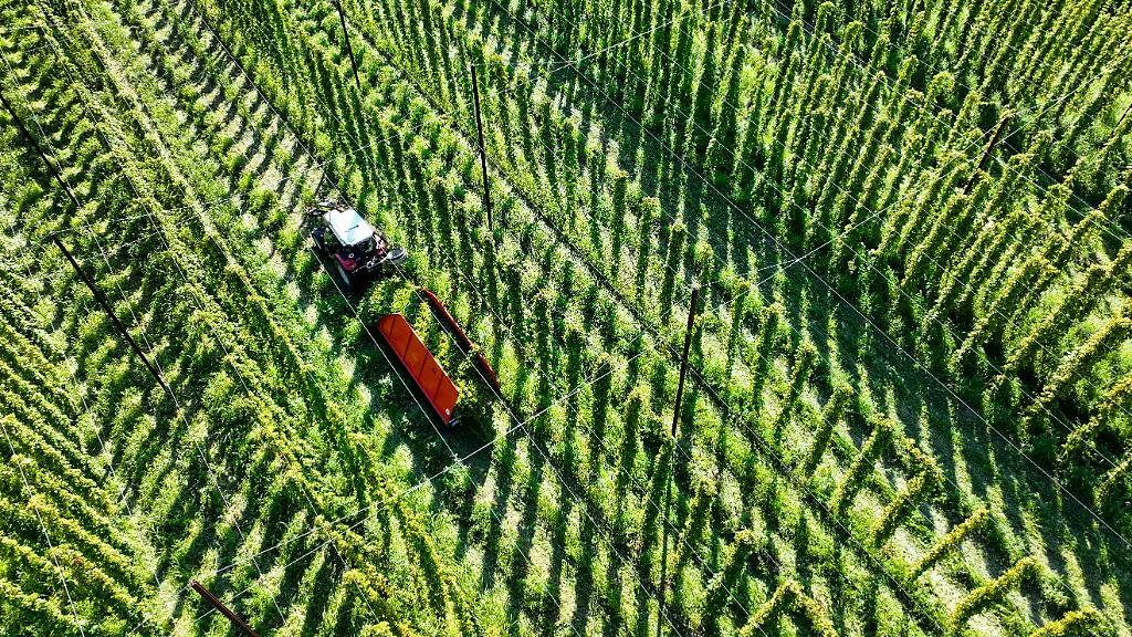 urn-binary-dpa-com-20090101-231010-99-515421-FILED