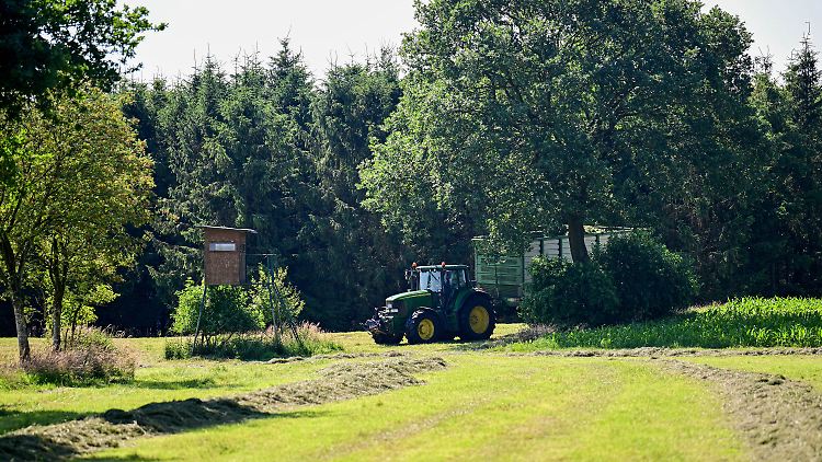Ein Landwirt fand den Leichnam des kleinen Arian.