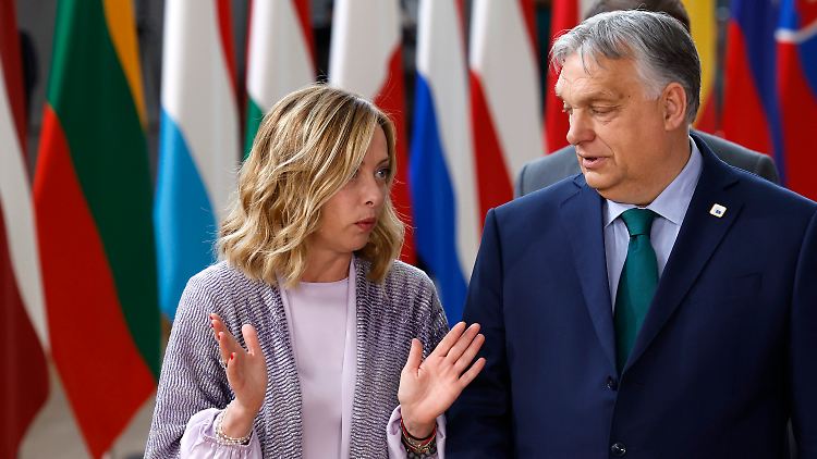 Sind sich bei der Bewertung der EU-Spitzenpersonalien einig: Giorgia Meloni und Viktor Orban.