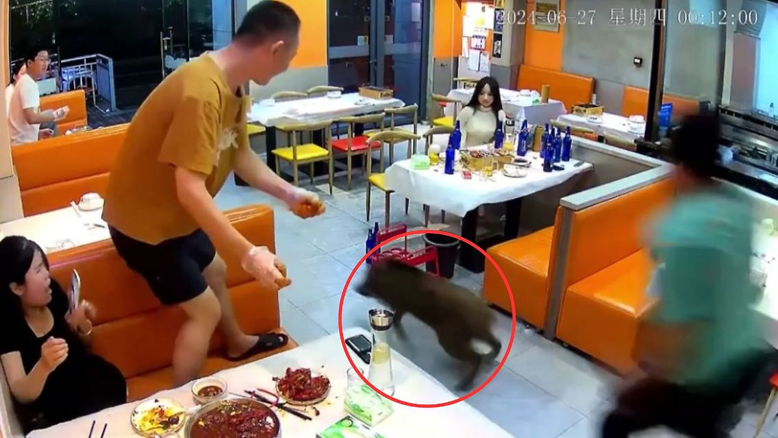Wildschwein China Restaurant kzg 2.jpg