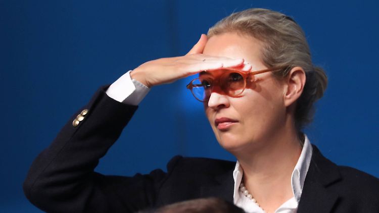 Für das Europaparlament ist die AfD gerade auf der Suche nach einer neuen Fraktion.