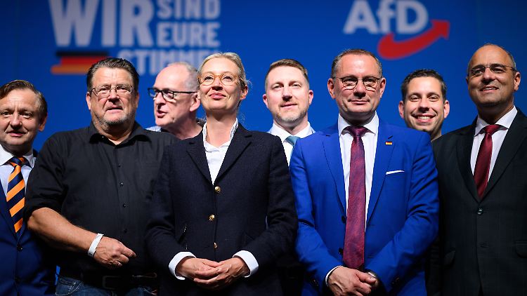 Gruppenfoto mit Dame: Im neuen Vorstand ist Alice Weidel die einzige Frau.