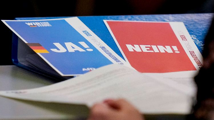 Stimmkarten beim AfD-Parteitag, der am vergangenen Wochenende in Essen stattfand.
