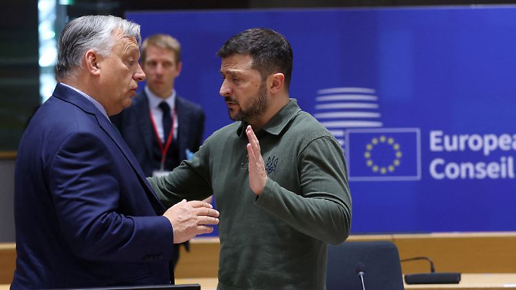 Orban und Selenskyj trafen sich zuletzt in Brüssel.