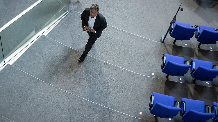 Vizekanzler Habeck im Bundestag. Die Mehrheit der Deutschen findet, dass die Grünen keinen Kanzlerkandidaten aufstellen sollten.