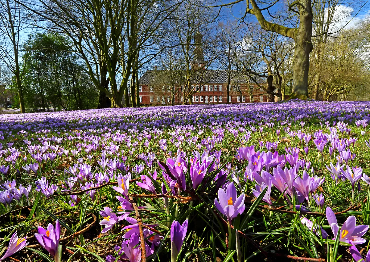 NICHT-VERWENDEN-S162-163-20542444-huber