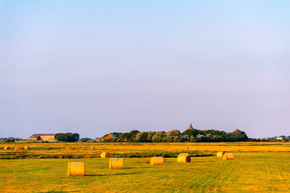 NICHT-VERWENDEN-S130-131-mauritius-images-2GFDHJN