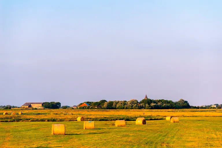 NICHT-VERWENDEN-S130-131-mauritius-images-2GFDHJN