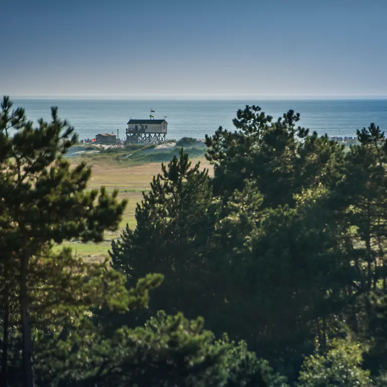 NICHT-VERWENDEN-S92-Aussicht-MaleensKnoll-StPeter-Nordsee2230-Oliver-Franke