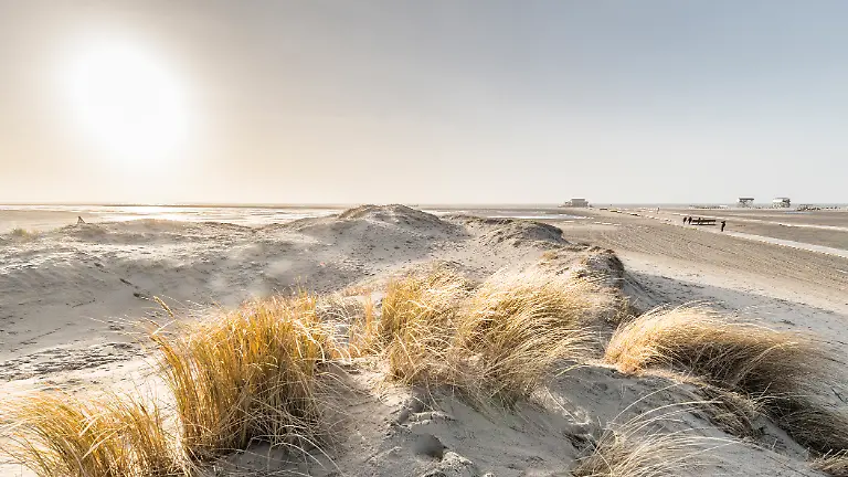 NICHT-VERWENDEN-S82-83-SPO-Duenen-Pfahlbau-Ordimg0106-Oliver-Franke