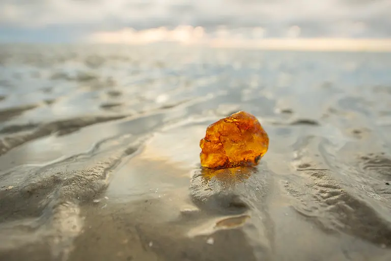 NICHT-VERWENDEN-S64u-Berstein-Wattenmeer-SPO7952-Oliver-Franke