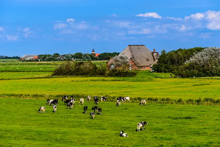 NICHT-VERWENDEN-S8-9-mauritius-images-05711003
