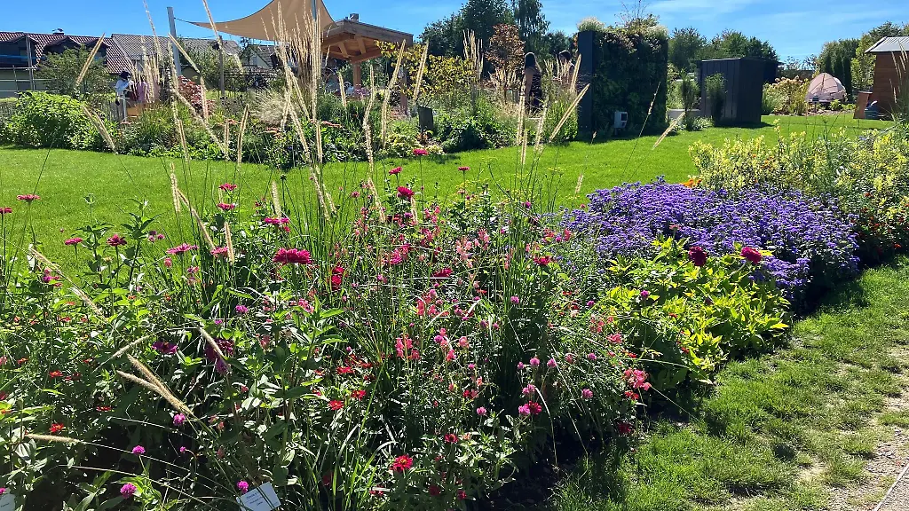 Blumen-und-andere-Pflanzen-sind-auf-einem-Gelaende-der-Landesgartenschau-zu-sehen