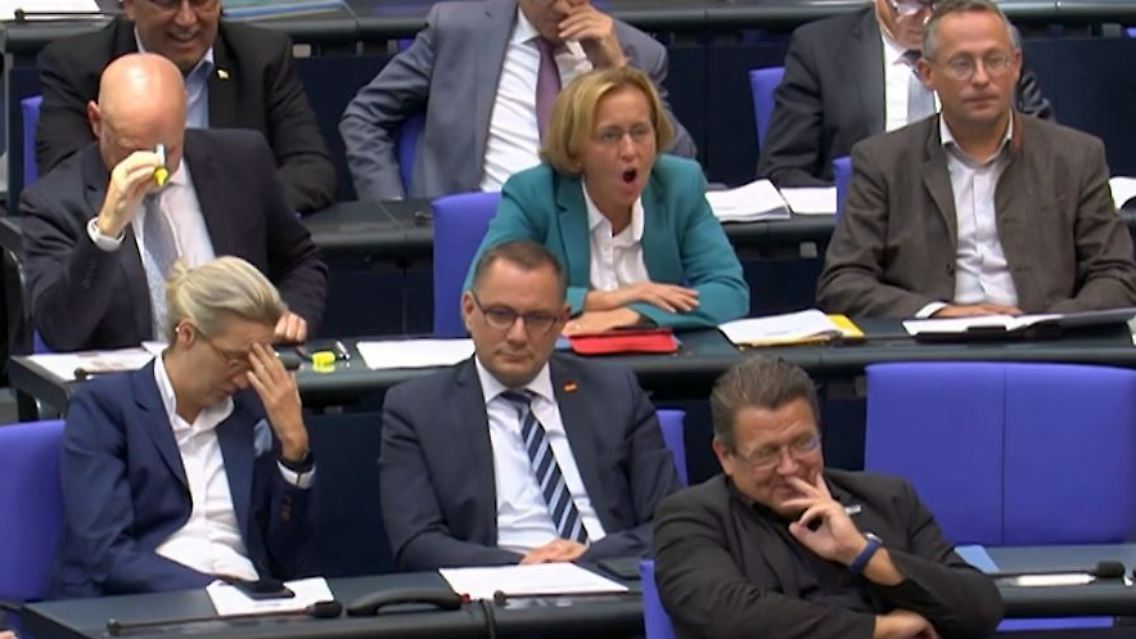 AfD.JPG