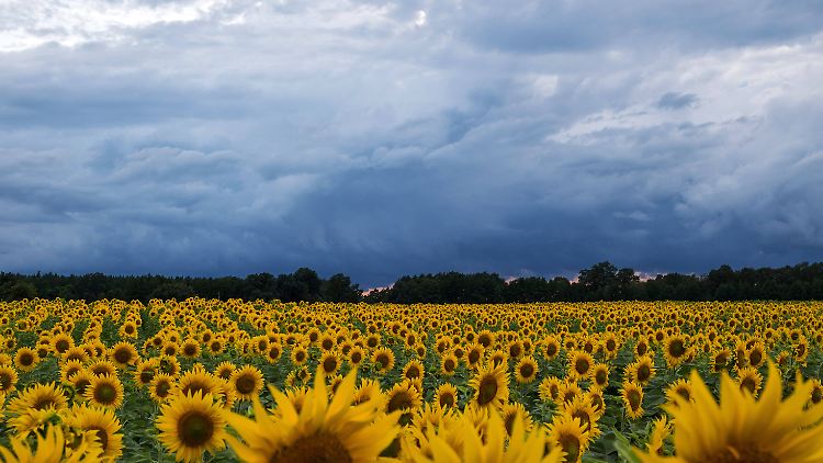 Der Sommer 2024 schlägt bisher ganz schön viele Kapriolen.