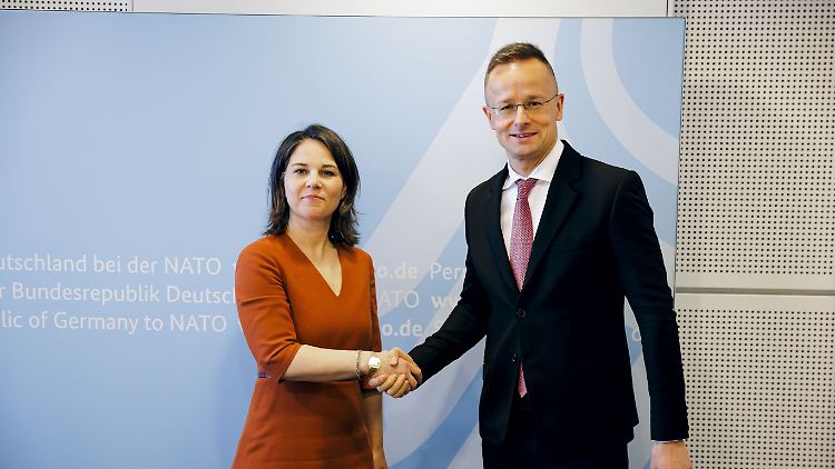 Warum Ungarns Außenminister Peter Szijjarto den Termin mit Annalena Baerbock abgesagt hat, ist nicht bekannt. 
