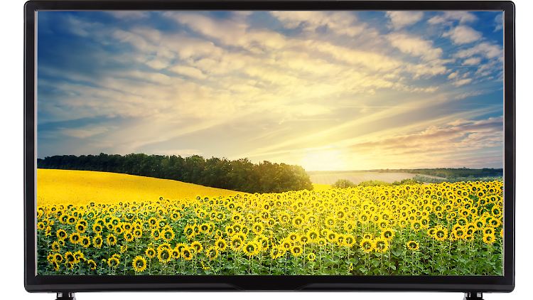 Bei Terra Nil können Spieler Sonnenblumen pflanzen, um radioaktiv verseuchte Zonen zu dekontaminieren. 